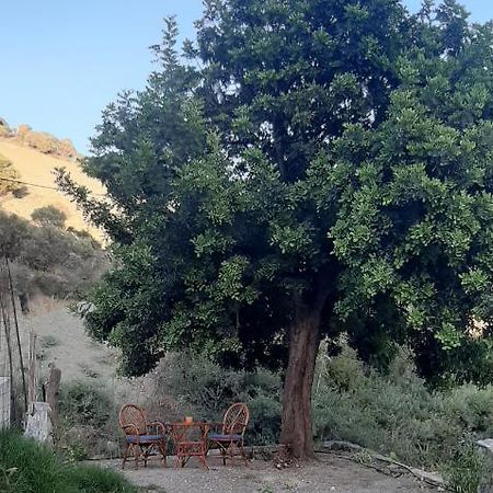Karampinis Guest House Kaloí Liménes Eksteriør bilde